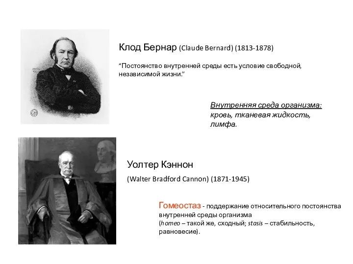 Клод Бернар (Claude Bernard) (1813-1878) Уолтер Кэннон (Walter Bradford Cannon) (1871-1945) Внутренняя среда