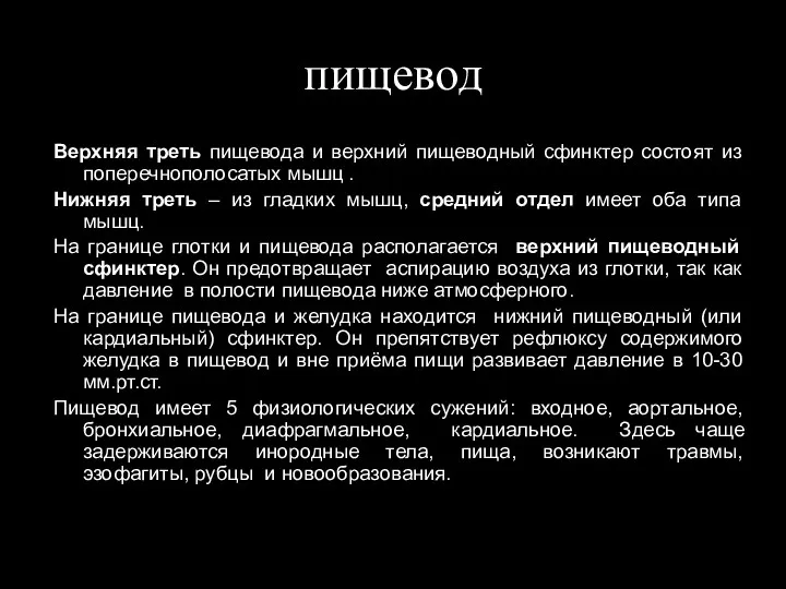 пищевод Верхняя треть пищевода и верхний пищеводный сфинктер состоят из поперечнополосатых мышц .