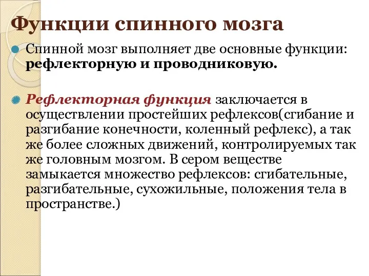 Функции спинного мозга Спинной мозг выполняет две основные функции: рефлекторную