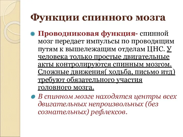 Функции спинного мозга Проводниковая функция- спинной мозг передает импульсы по