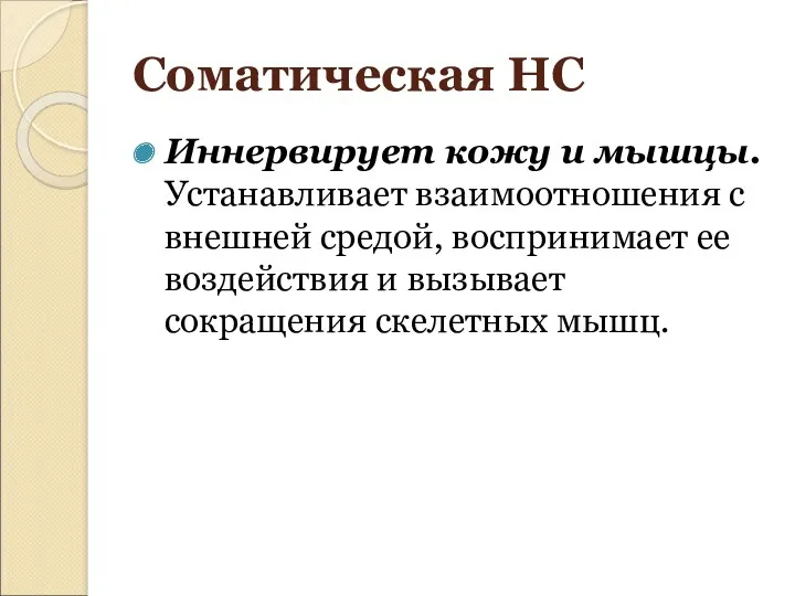 Соматическая НС Иннервирует кожу и мышцы. Устанавливает взаимоотношения с внешней