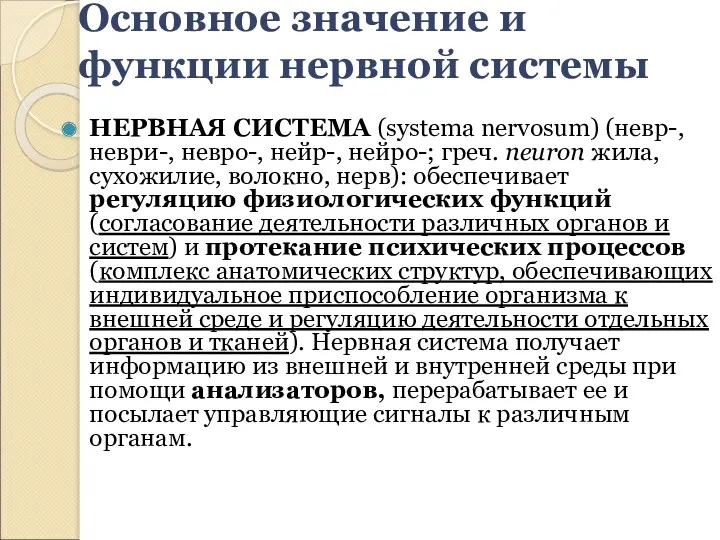 Основное значение и функции нервной системы НЕРВНАЯ СИСТЕМА (systema nervosum)