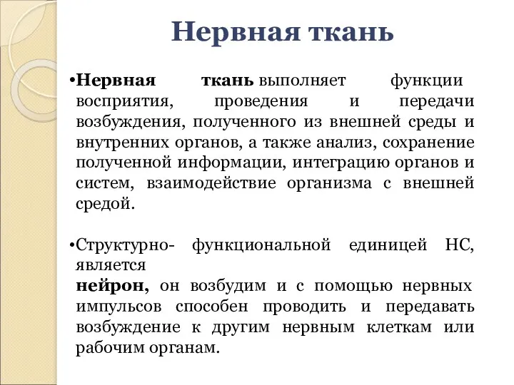 Нервная ткань Нервная ткань выполняет функции восприятия, проведения и передачи