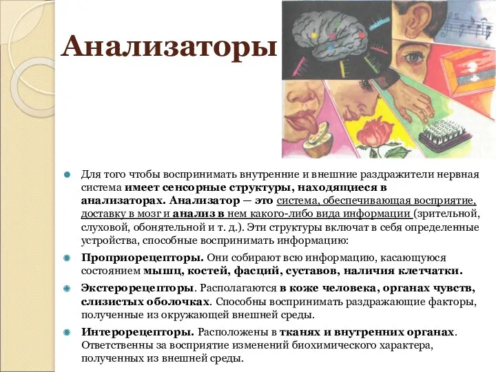 Анализаторы Для того чтобы воспринимать внутренние и внешние раздражители нервная