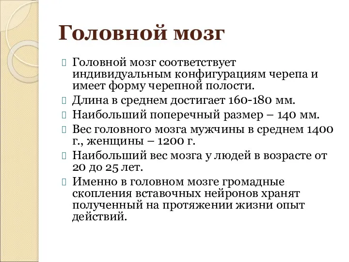 Головной мозг соответствует индивидуальным конфигурациям черепа и имеет форму черепной