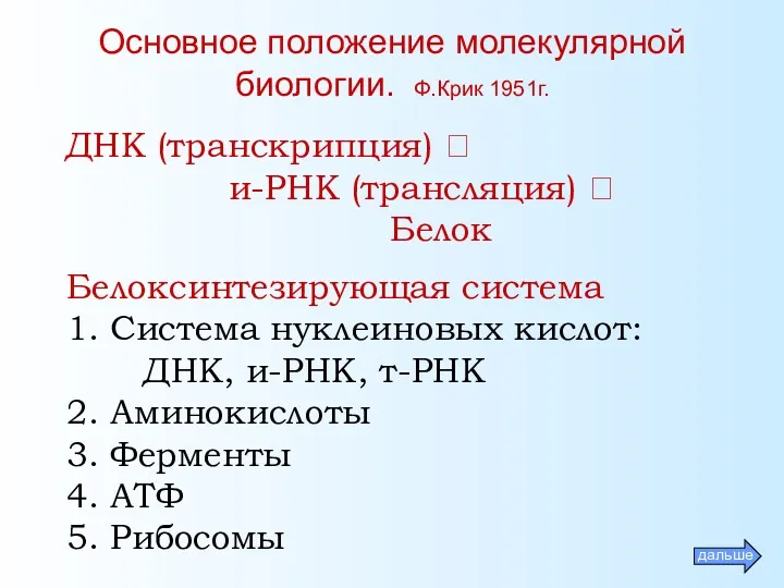 Основное положение молекулярной биологии. Ф.Крик 1951г. ДНК (транскрипция) ? и-РНК