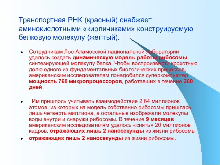 Сотрудникам Лос-Аламосской национальной лаборатории удалось создать динамическую модель работы рибосомы,