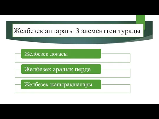 Желбезек аппараты 3 элементтен турады