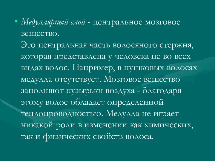 Медуллярный слой - центральное мозговое вещество. Это центральная часть волосяного