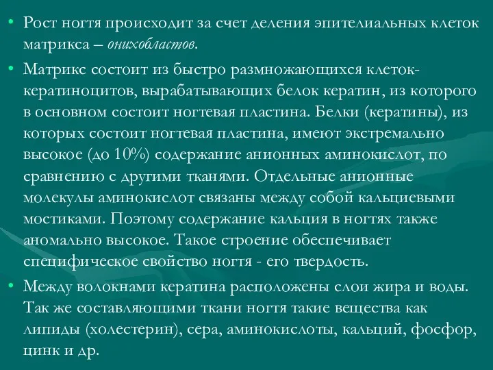 Рост ногтя происходит за счет деления эпителиальных клеток матрикса –