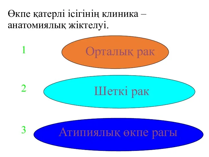 Өкпе қатерлі ісігінің клиника – анатомиялық жіктелуі. Орталық рак Атипиялық