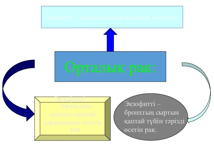 Орталық рак: Эндофитті – бронхтың саңылауына қарай өсетін рак. Экзофитті