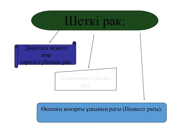 Шеткі рак: Дөңгелек немесе шар тәрізді түйіншік рак. Пневмония тәріздес