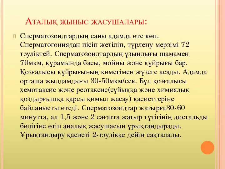 Аталық жыныс жасушалары: Сперматозоидтардың саны адамда өте көп. Сперматогониядан пісіп