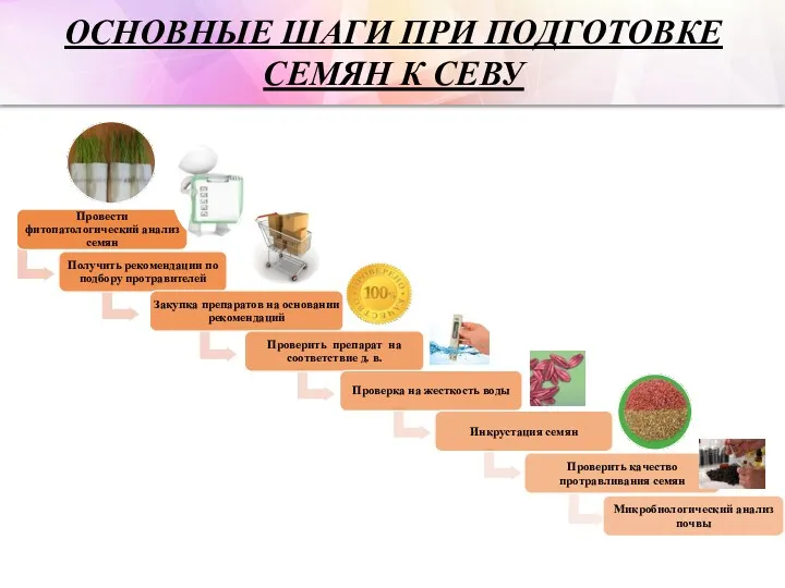 ОСНОВНЫЕ ШАГИ ПРИ ПОДГОТОВКЕ СЕМЯН К СЕВУ