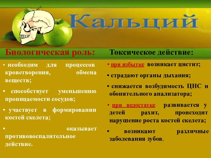 Кальций Биологическая роль: необходим для процессов кроветворения, обмена веществ; способствует