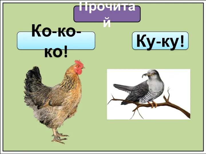 Прочитай Ко-ко-ко! Ку-ку!