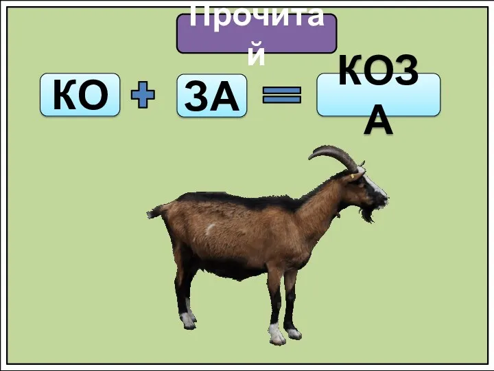 Прочитай КО ЗА КОЗА