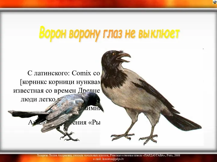 С латинского: Comix cornici nunquam confodit oculum [корннкс корници нунквам