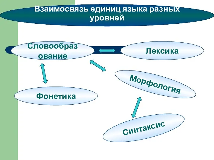 Взаимосвязь единиц языка разных уровней Словообразование Лексика Морфология Синтаксис Фонетика