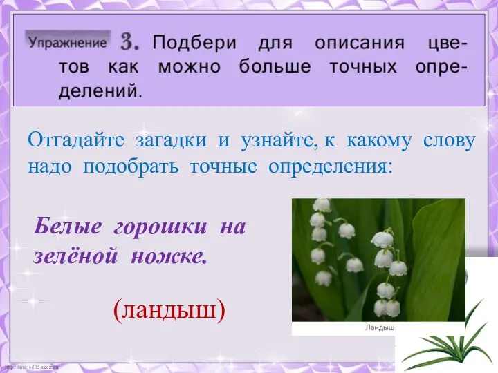 Отгадайте загадки и узнайте, к какому слову надо подобрать точные