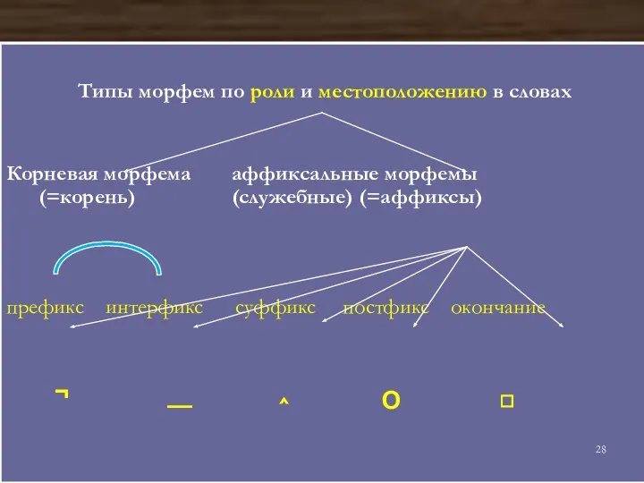 Типы морфем по роли и местоположению в словах Корневая морфема