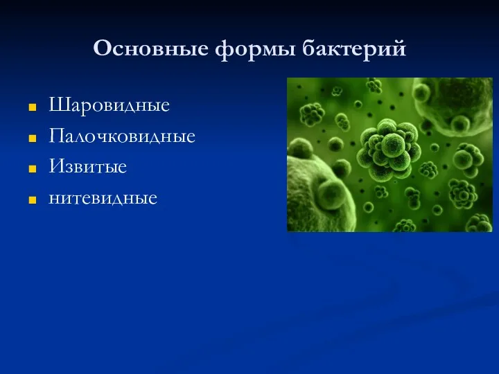 Основные формы бактерий Шаровидные Палочковидные Извитые нитевидные
