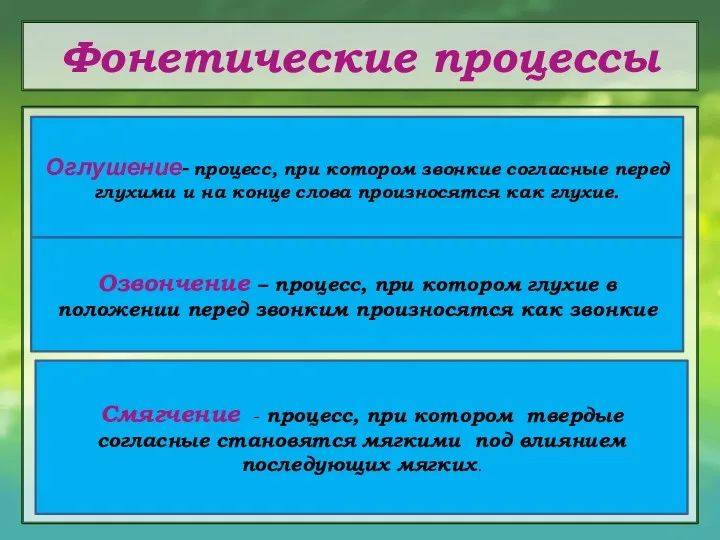 Фонетические процессы Оглушение- процесс, при котором звонкие согласные перед глухими