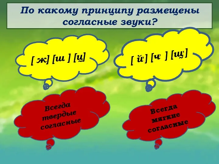 По какому принципу размещены согласные звуки? [ ж] [ш ]