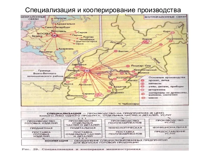 Специализация и кооперирование производства