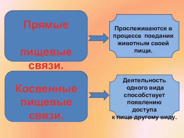 Прямые пищевые связи. Прослеживаются в процессе поедания животным своей пищи.