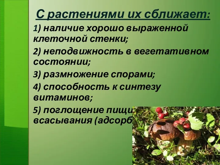 С растениями их сближает: 1) наличие хорошо выраженной клеточной стенки;