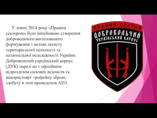 У липні 2014 року «Правим сектором» було ініційовано створення добровольчого