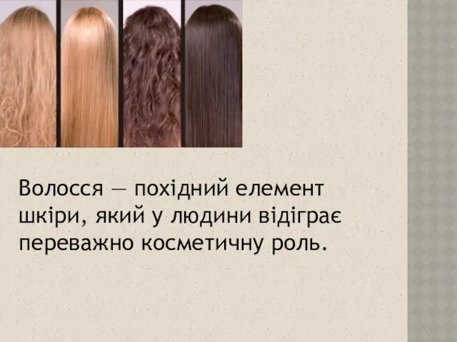 Волосся — похідний елемент шкіри, який у людини відіграє переважно косметичну роль.