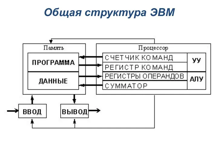 Общая структура ЭВМ