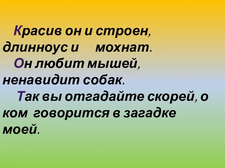 Красив он и строен, длинноус и мохнат. Он любит мышей, ненавидит собак. Так