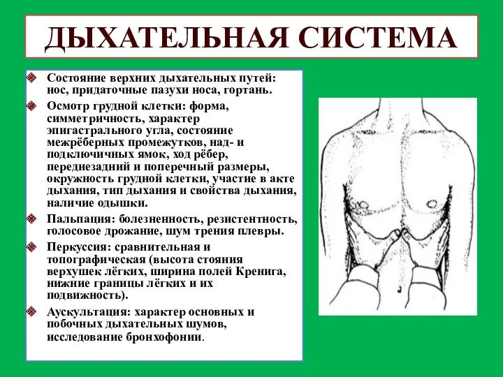 ДЫХАТЕЛЬНАЯ СИСТЕМА Состояние верхних дыхательных путей: нос, придаточные пазухи носа,