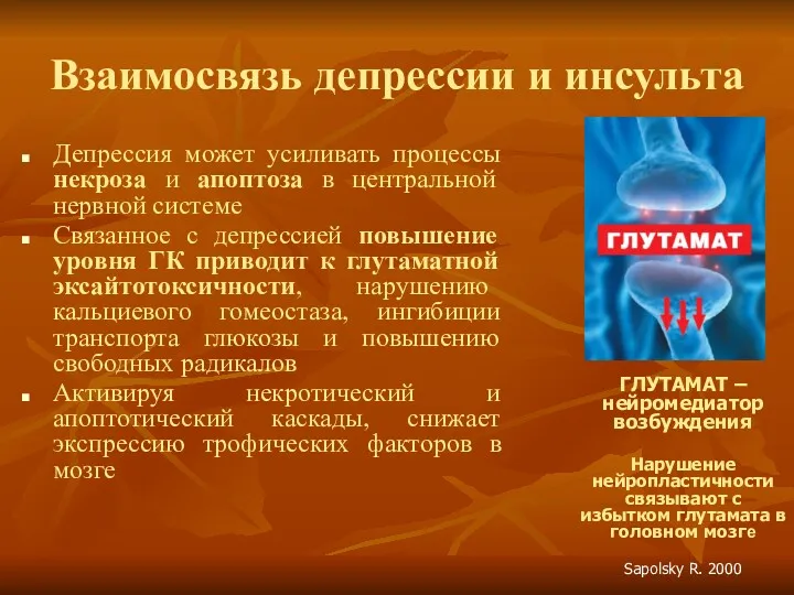 Взаимосвязь депрессии и инсульта Депрессия может усиливать процессы некроза и