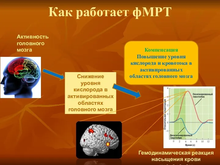 Активность головного мозга Снижение уровня кислорода в активированных областях головного