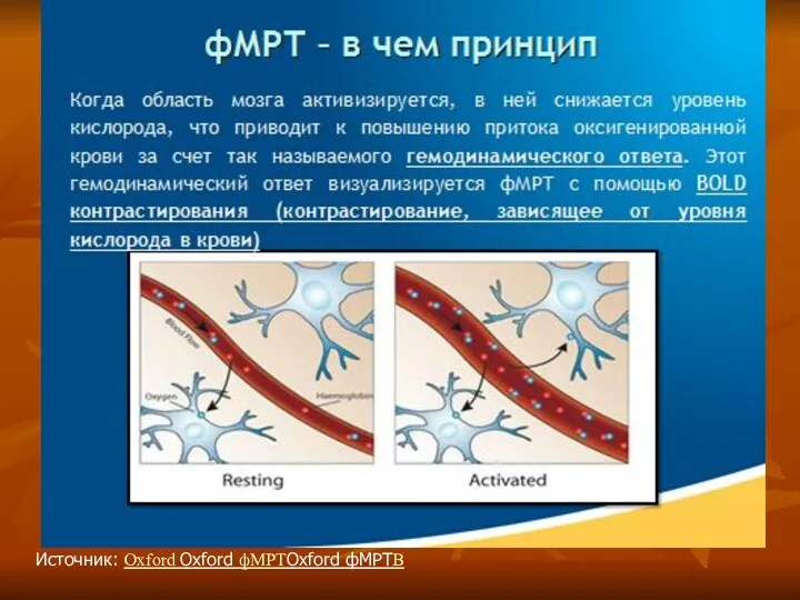 Источник: Oxford Oxford фМРТOxford фМРТB