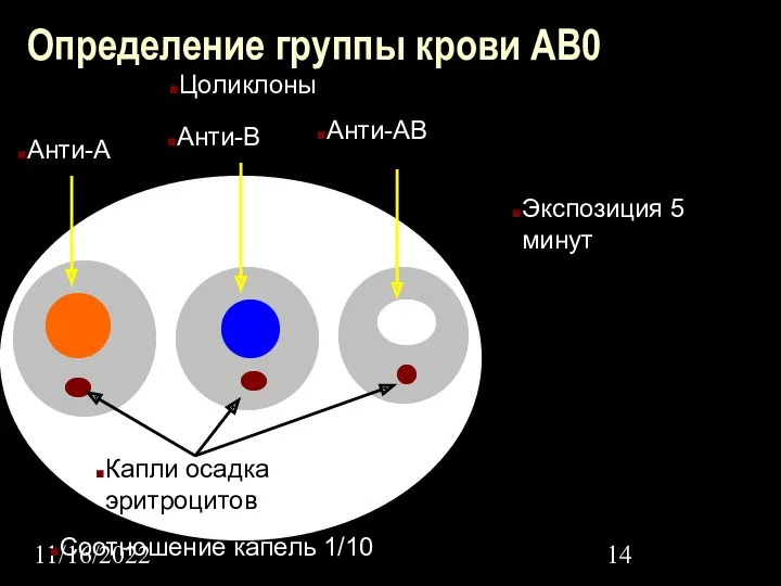 11/16/2022 Определение группы крови АВ0 Цоликлоны Анти-А Анти-В Анти-АВ Капли