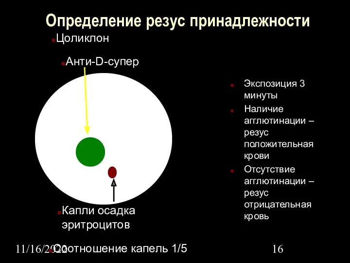 11/16/2022 Определение резус принадлежности Экспозиция 3 минуты Наличие агглютинации –