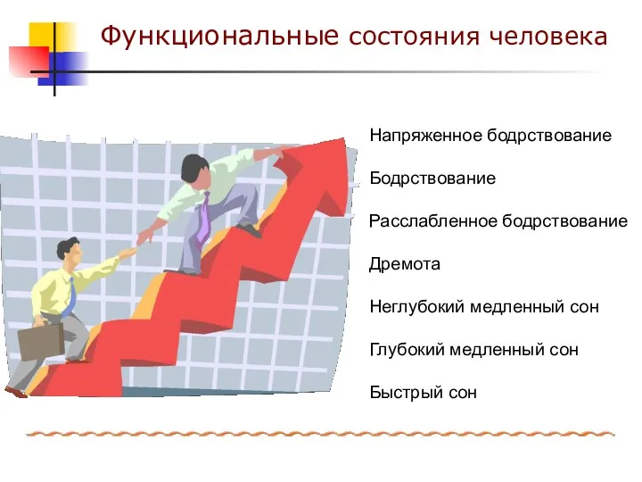 Напряженное бодрствование Бодрствование Расслабленное бодрствование Дремота Неглубокий медленный сон Глубокий медленный сон Быстрый