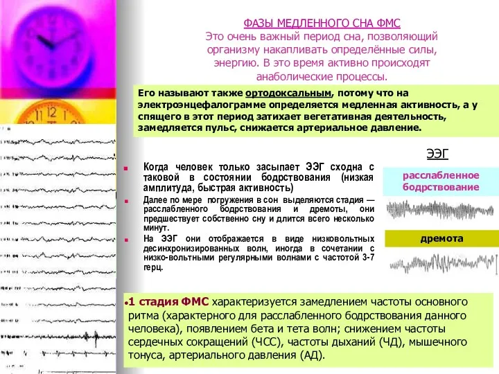 Когда человек только засыпает ЭЭГ сходна с таковой в состоянии