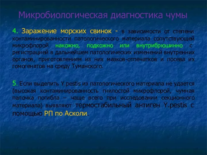 Микробиологическая диагностика чумы 4. Заражение морских свинок - в зависимости