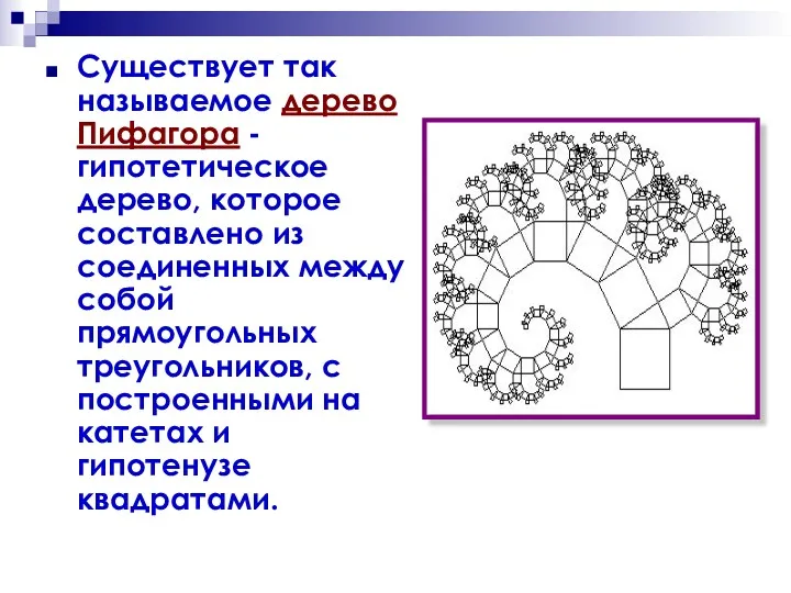 Существует так называемое дерево Пифагора - гипотетическое дерево, которое составлено