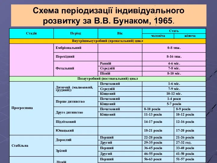 Схема періодизації індивідуального розвитку за В.В. Бунаком, 1965.