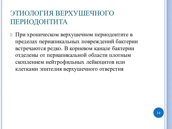 ЭТИОЛОГИЯ ВЕРХУШЕЧНОГО ПЕРИОДОНТИТА При хроническом верхушечном периодонтите в пределах периапикальных