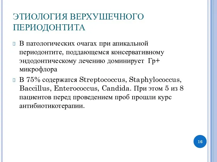 ЭТИОЛОГИЯ ВЕРХУШЕЧНОГО ПЕРИОДОНТИТА В патологических очагах при апикальной периодонтите, поддающемся