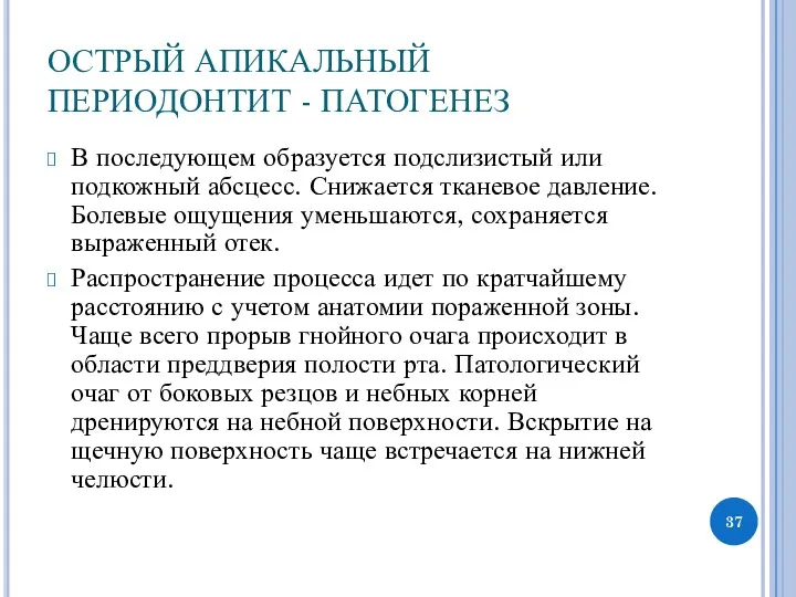 ОСТРЫЙ АПИКАЛЬНЫЙ ПЕРИОДОНТИТ - ПАТОГЕНЕЗ В последующем образуется подслизистый или